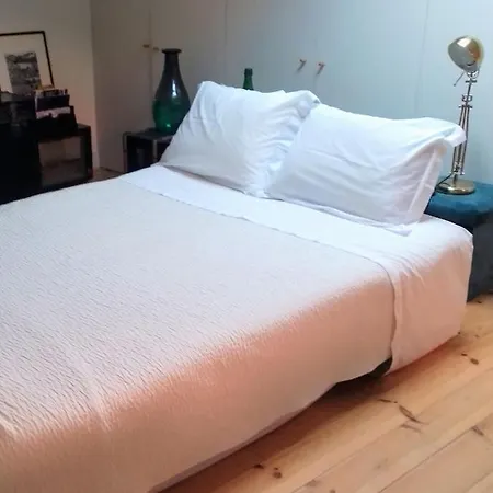 Formosa Charming Loft In Porto's Heart Apartment *